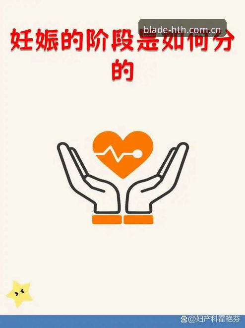 3个关键阶段，带你看懂官方之选华体会APP下载推荐的价值